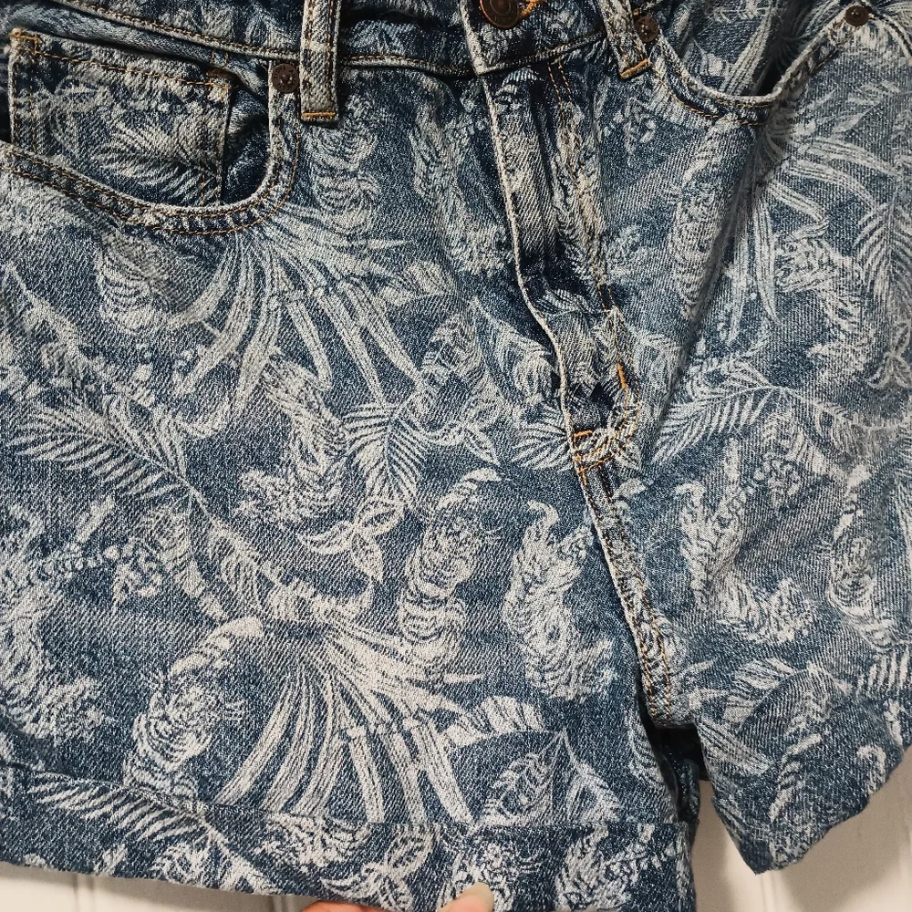 American Eagle Denim Shorts